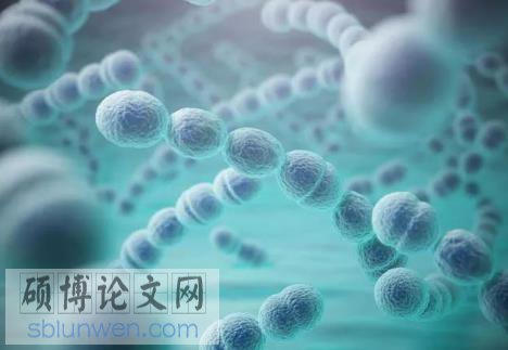 论文提纲范文样本