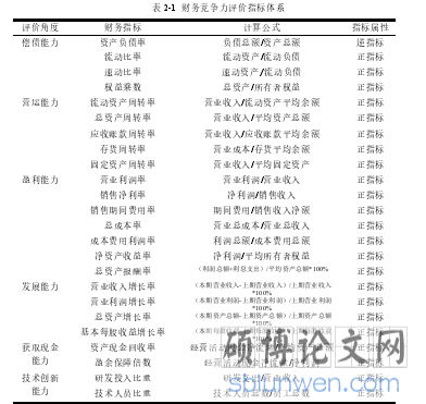 表 2-1 财务竞争力评价指标体系