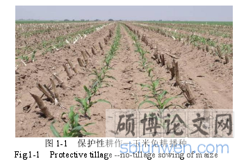 图 1-1 保护性耕作—玉米免耕播种