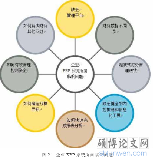 图 2.1  企业 ERP 系统所面临的问题