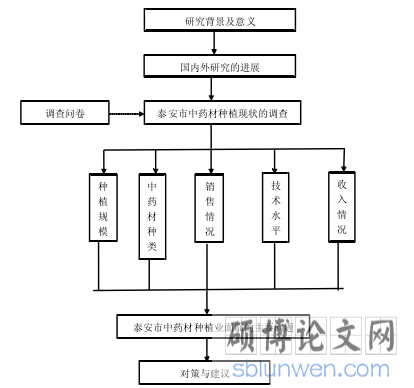 技术路线图