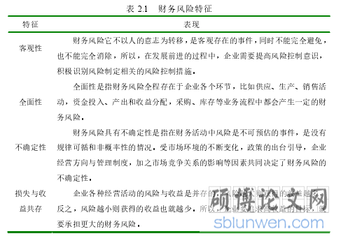表 2.1   财务风险特征