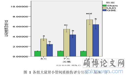 图  1  各组大鼠肾小管间质损伤评分情况