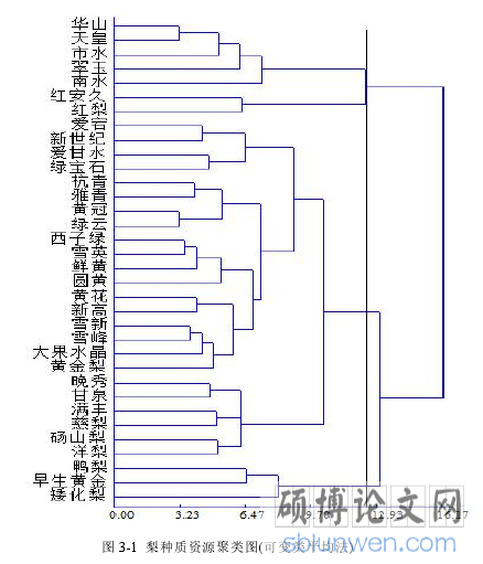图 3-1 梨种质资源聚类图(可变类平均法)