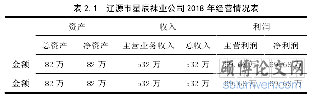 表 2.1  辽源市星辰袜业公司 2018 年经营情况表