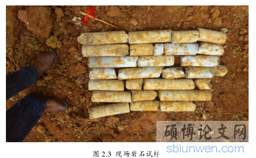 图 2.3  现场岩石试样