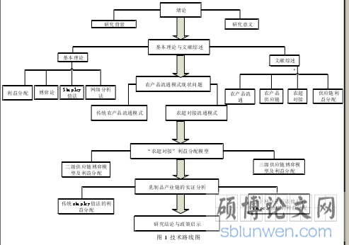 图 1 技术路线图