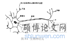 图 3-1  生物神经元