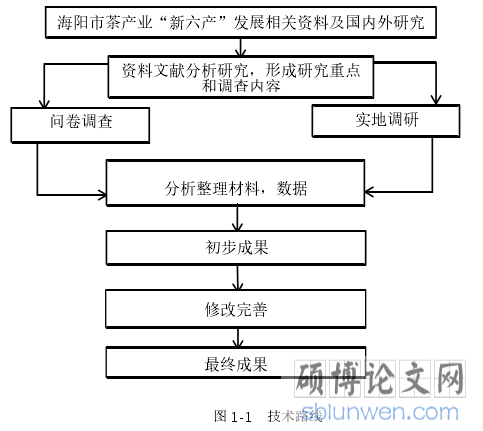 图 1-1 技术路线