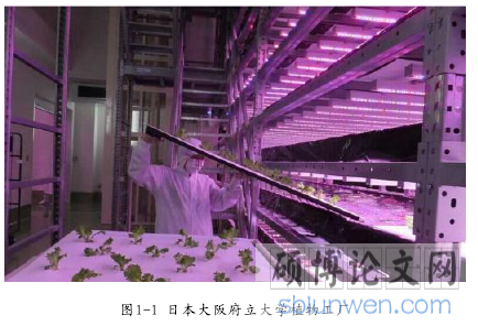 图1-1 日本大阪府立大学植物工厂