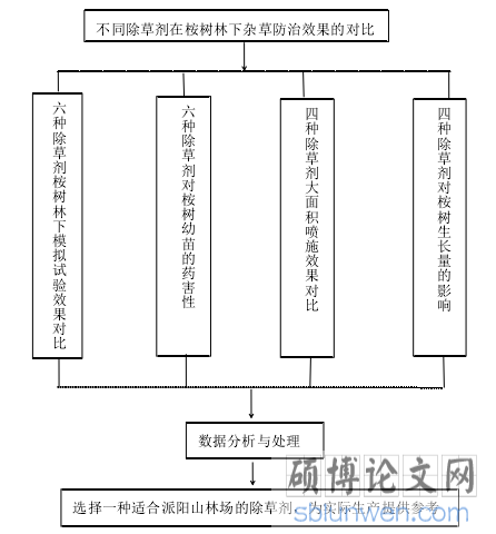 技术路线