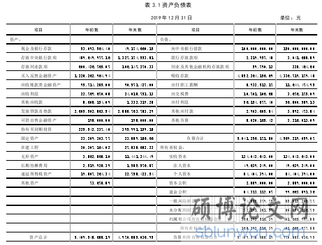 表 3.1 资产负债表