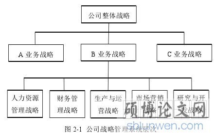 图 2-1 公司战略管理系统层次