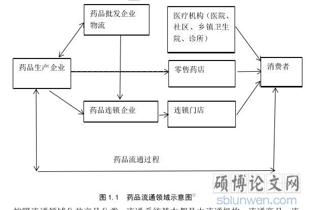 图 1.1 药品流通领域示意图