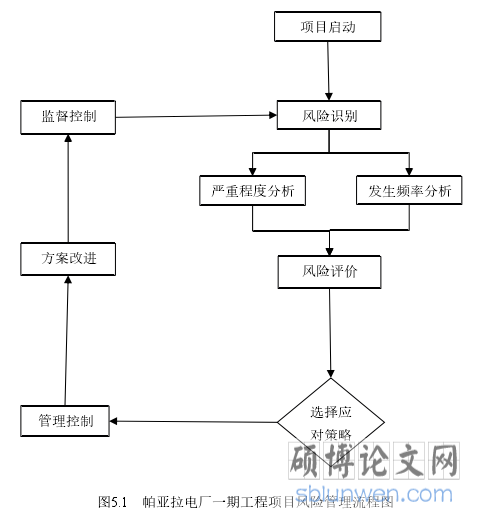 图5.1   帕亚拉电厂一期工程项目风险管理流程图