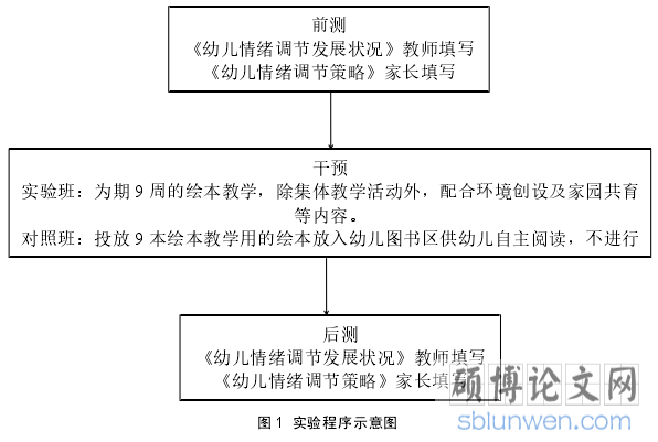 图 1 实验程序示意图