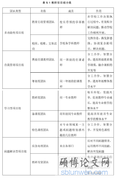 表 5.1 教师项目组分类