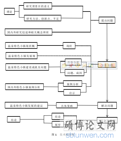 图 1  技术路线图