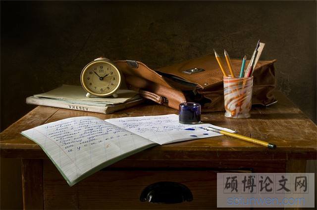 案例型mpacc论文