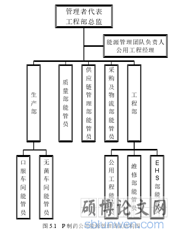 图 5.1 P 制药公司能源管理团队结构图