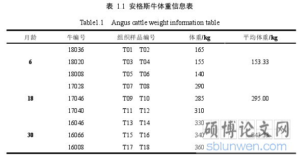 表  1.1  安格斯牛体重信息表
