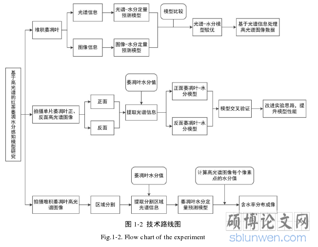 图 1-2 技术路线图