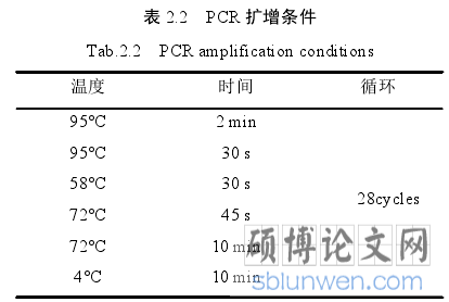 表 2.2 PCR 扩增条件