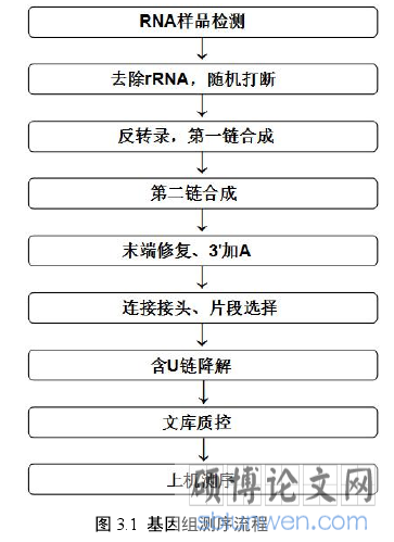图 3.1 基因组测序流程