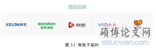 图 3.1  海信子品牌