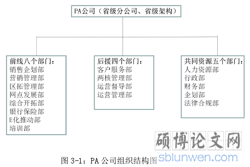 图 3-1：PA 公司组织结构图