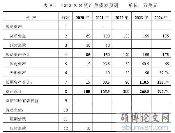 表 9-1 2020-2024 资产负债表预测 单位：万美元