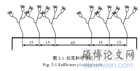 图 2-1 红花种植模式