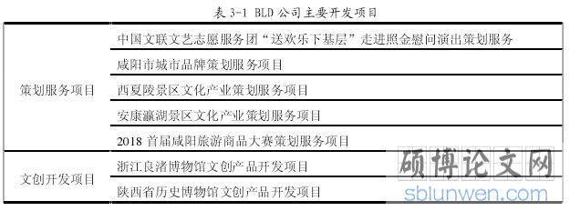 表 3-1 BLD 公司主要开发项目