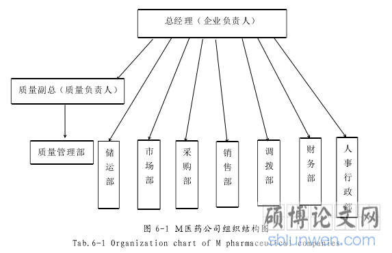 图 6-1 Ｍ医药公司组织结构图
