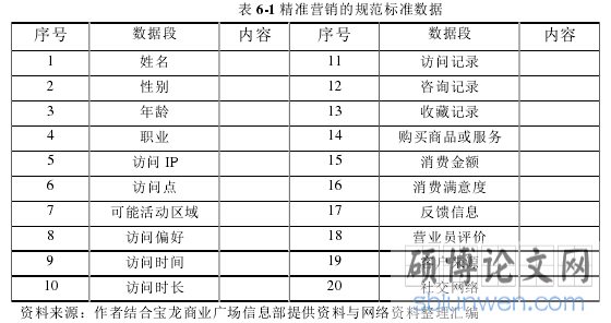 表 6-1 精准营销的规范标准数据