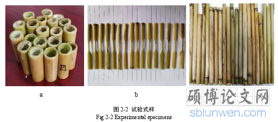 图 2-2 试验式样