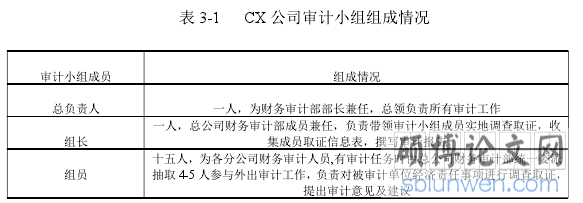 表 3-1 CX 公司审计小组组成情况