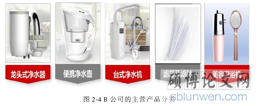 图 2-4 B 公司的主营产品分类