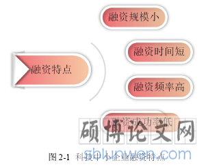 图 2-1 科技中小企业融资特点