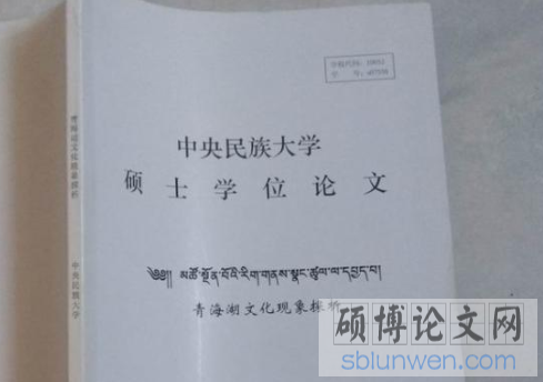 硕士论文