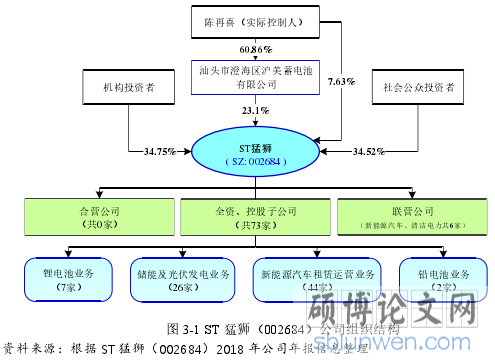 图 3-1 ST 猛狮（002684）公司组织结构