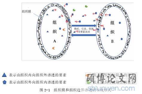 图 2-1 组织膜和组织边界渗透的呈现形式