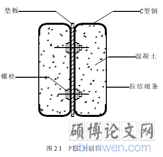 图 2.1 PEC 柱截面