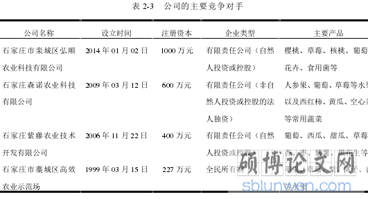 表 2-3 公司的主要竞争对手