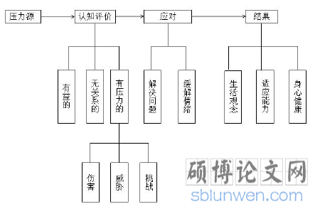 图 1 压力与应对的模式图