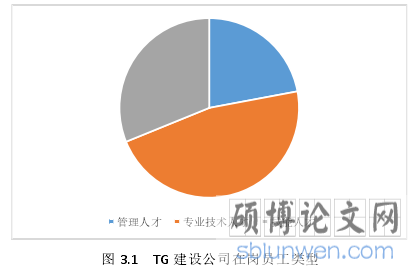 图 3.1 TG 建设公司在岗员工类型
