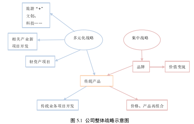 图 5.1  公司整体战略示意图