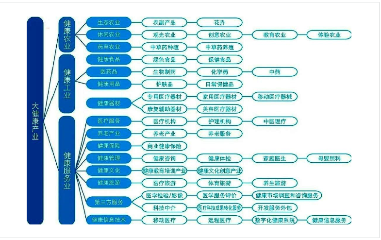 大健康产业汇总表