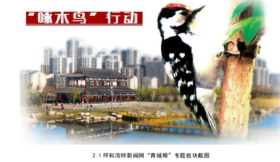 2.1 呼和浩特新闻网“青城眼”专题板块截图