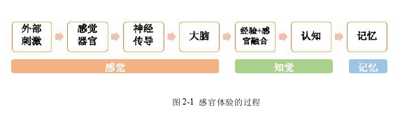 图 2-1 感官体验的过程